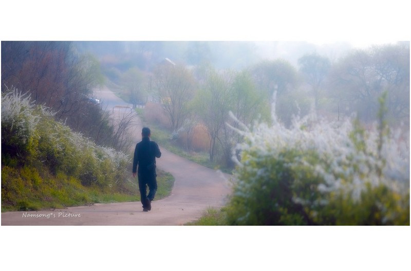 어느 봄날의 아침 ---