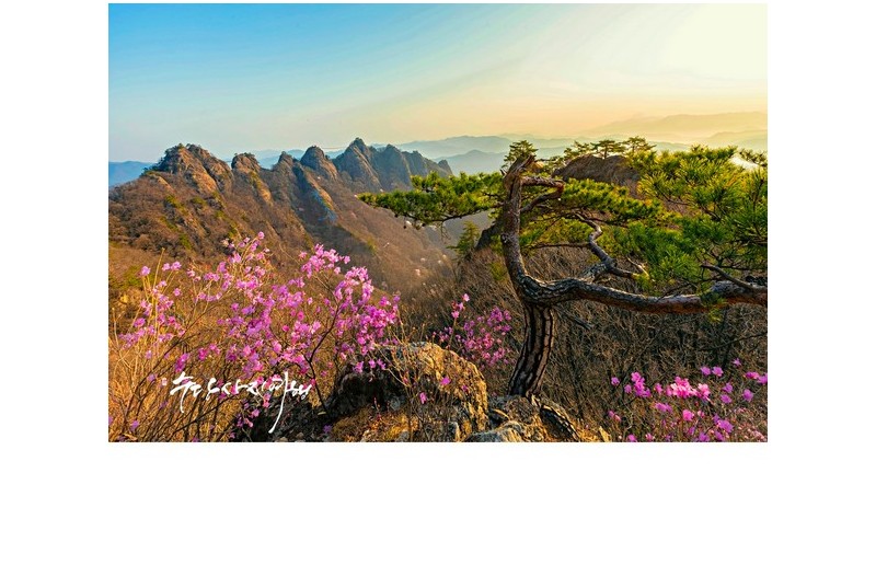 구봉산 발레리나