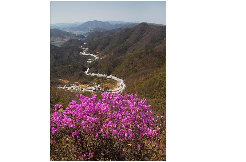 아름다운 벗꽃 길