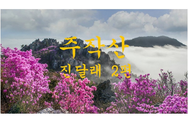 주작산 진달래2펀