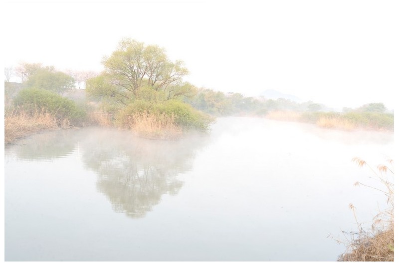 물안개 피는 늪