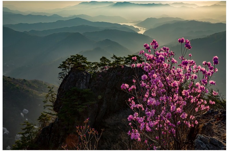 아름다운 금수강산