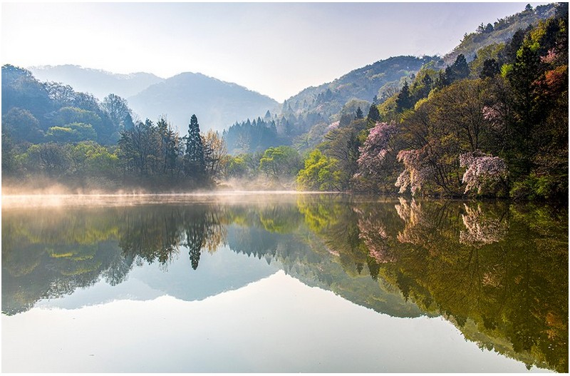 세량지의 봄^^^23.4.7