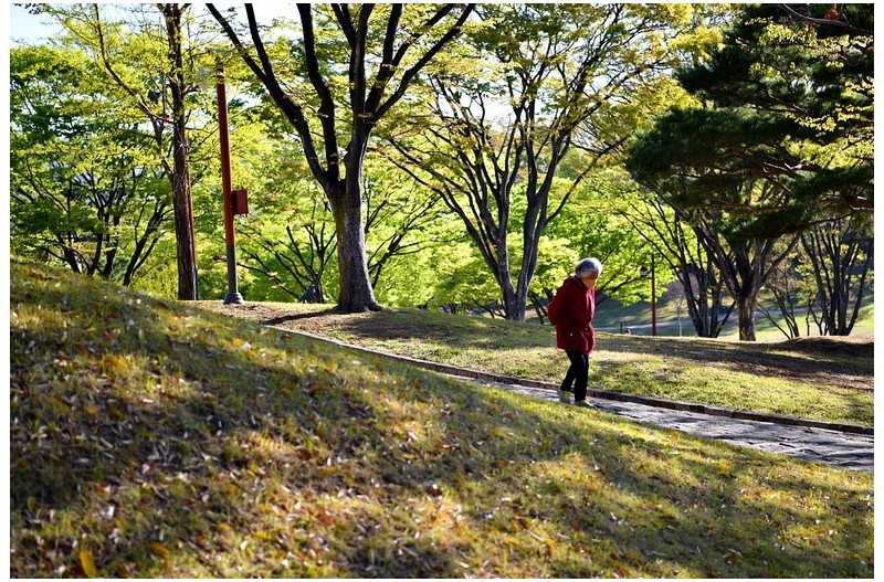 진주성 아침산책