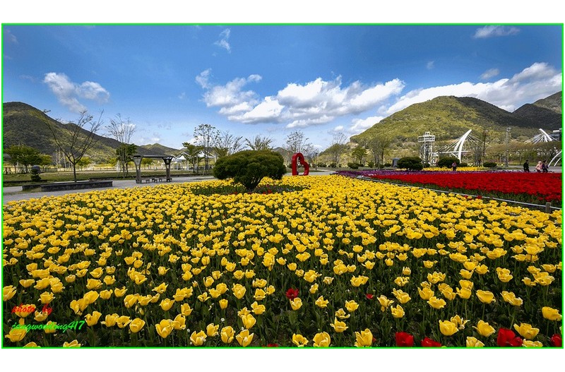 오늘 황산공원입니다