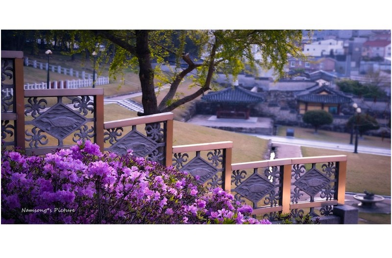 수로왕비릉이 보이는 곳의 풍경