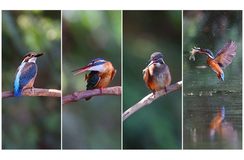 기다리는 님  //