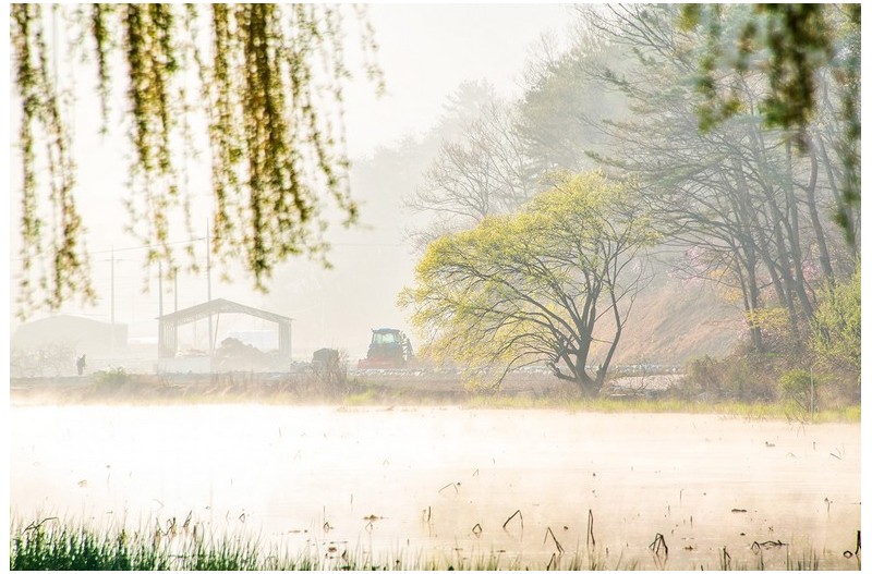 물안개 피는 아침소경