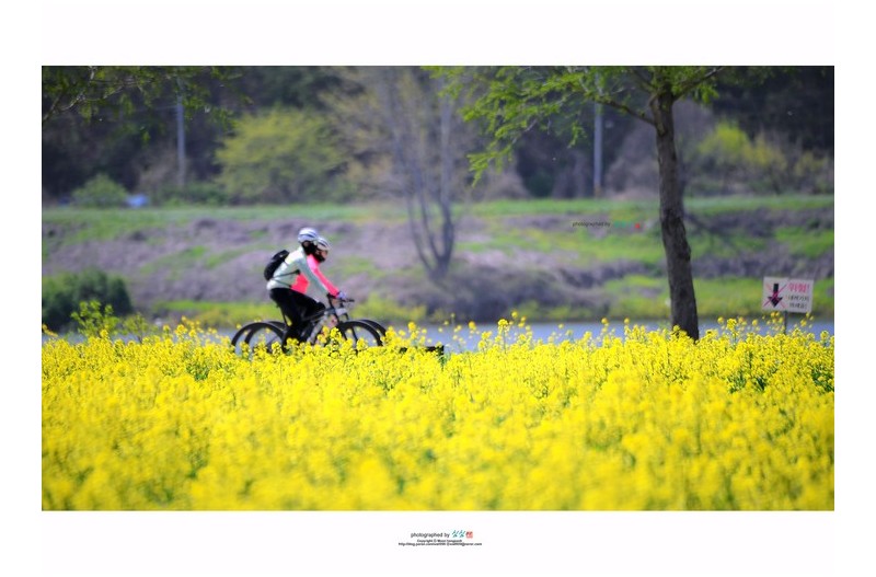 함께 가는 길...