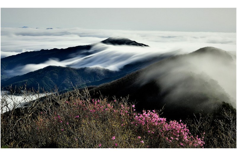 운해 넘치는 날