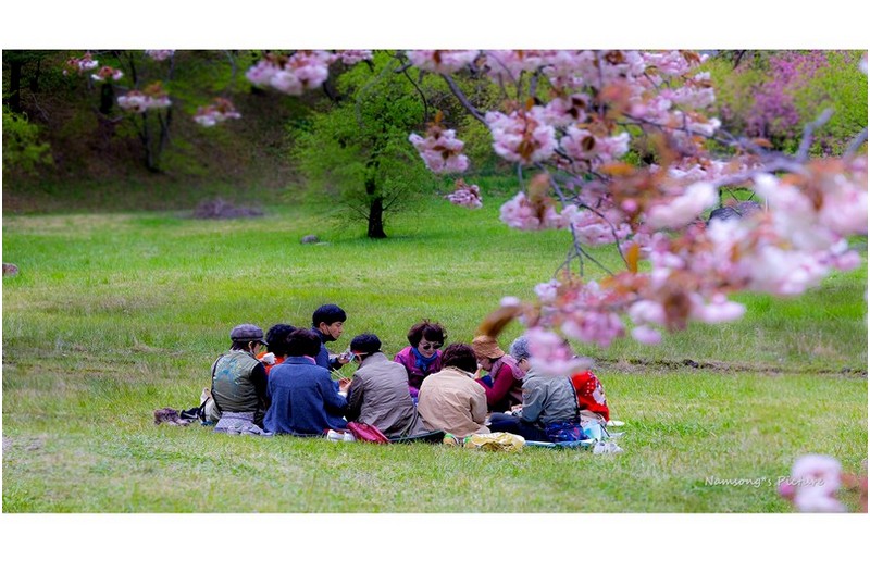 봄날의 즐거움 ---