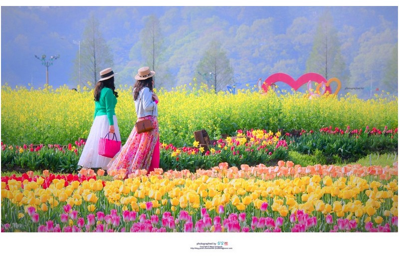 2023 남지의 봄...