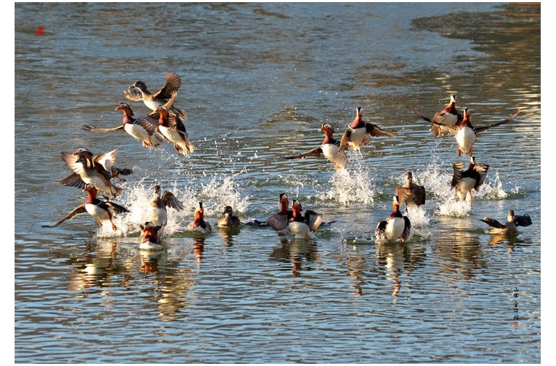 감사인사  드립니다