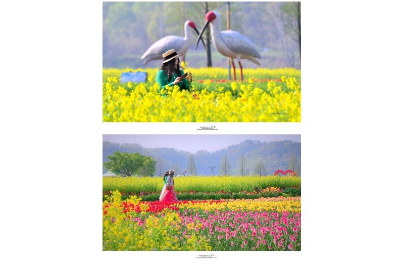 아침에 만난 인연...