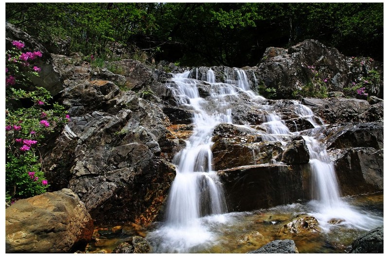 선녀탕 의 수달래와 작은폭포