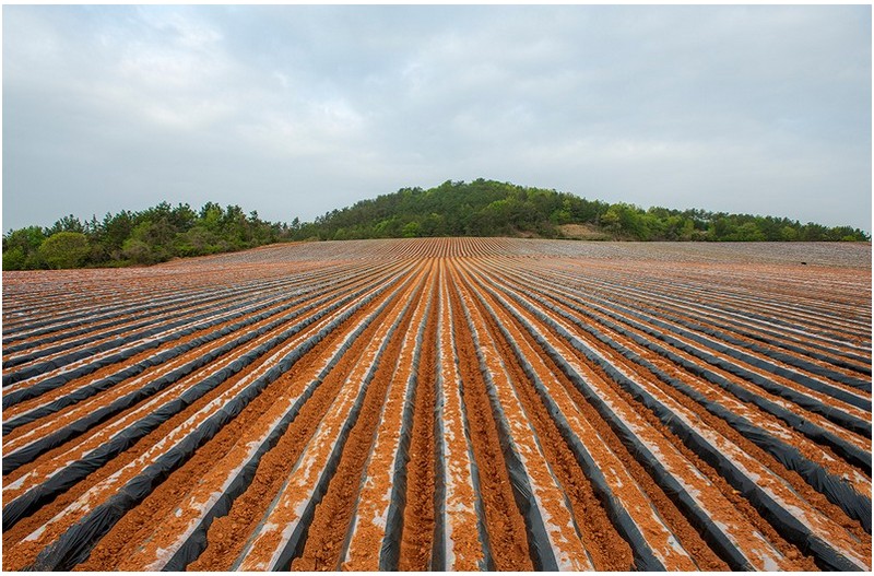 이것도 그림이다