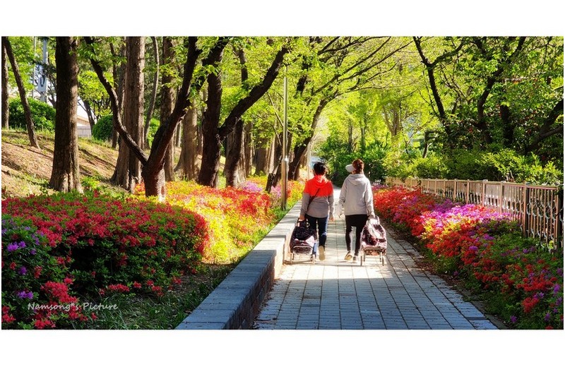 자매의 나들이 -----