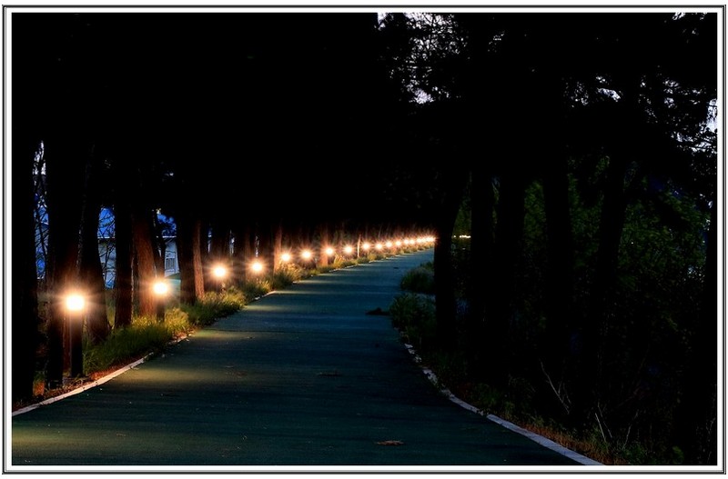 산책로 가로등 과 일출