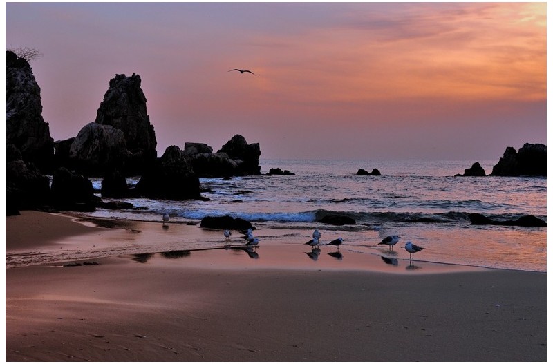 추암해변의 아침