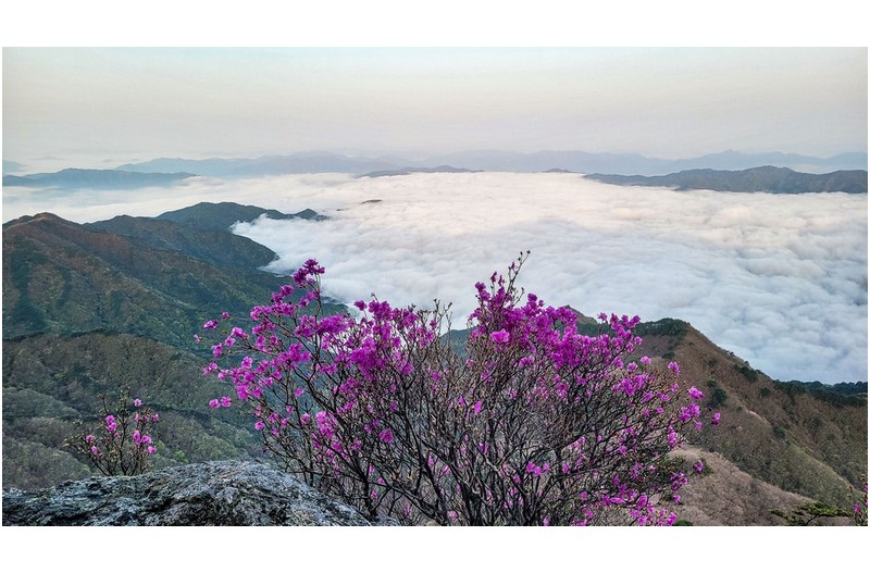 여명 : 김종관 사진 전시에 초대합니다.