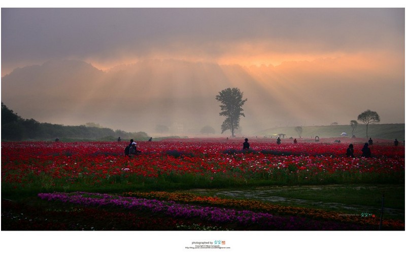 아름다운 기억...