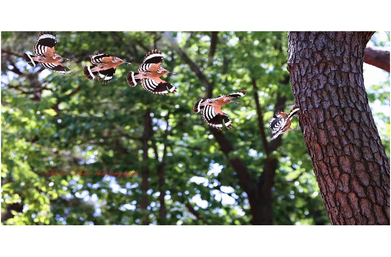 A 포인트  ㅡㅡㅡㅡㅡㅡㅡㅡㅡㅡㅡㅡㅡ