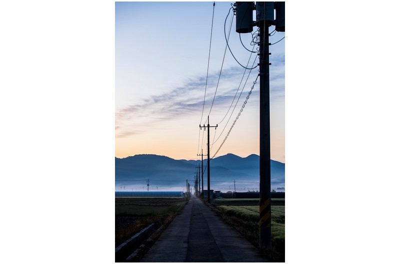 집으로 가는 길