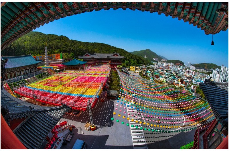 온누리에 광명이