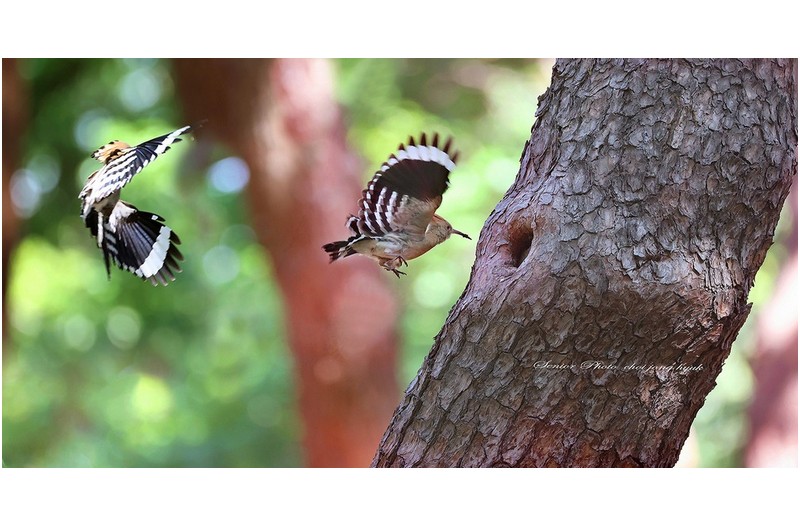 울엄마  ㅡㅡㅡㅡㅡㅡㅡㅡㅡㅡㅡㅡ