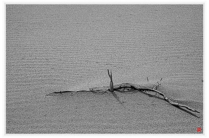 자연이그린그림