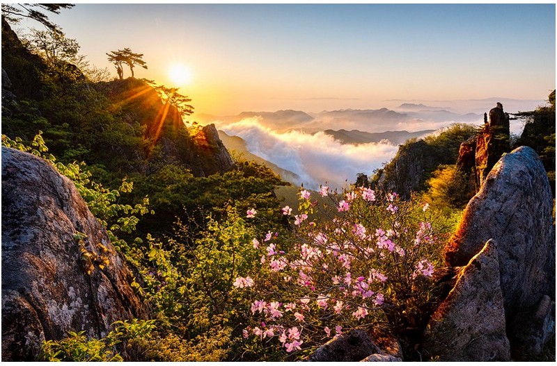 봄이 오는 계곡