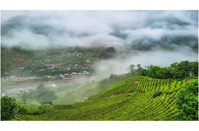 너무 고맙고 감사 하는 마음 전합니다. (포토칼라)