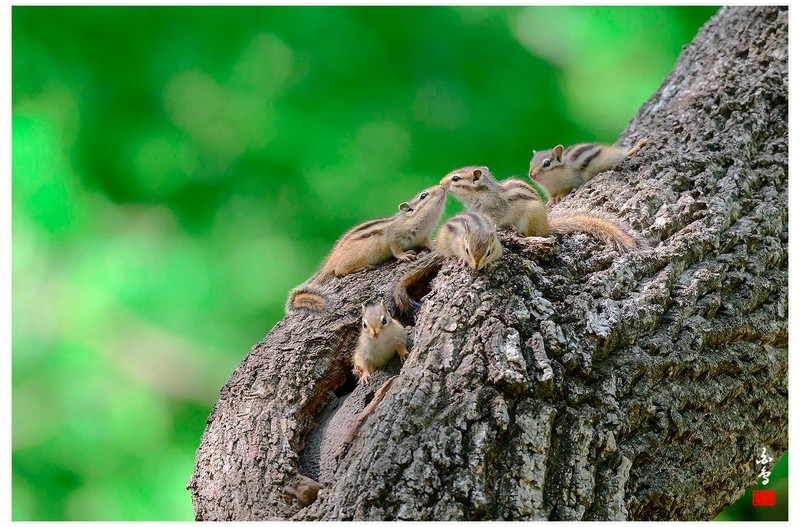 황성공원 귀요미