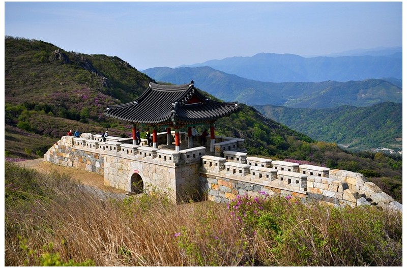 내년을 기약하며