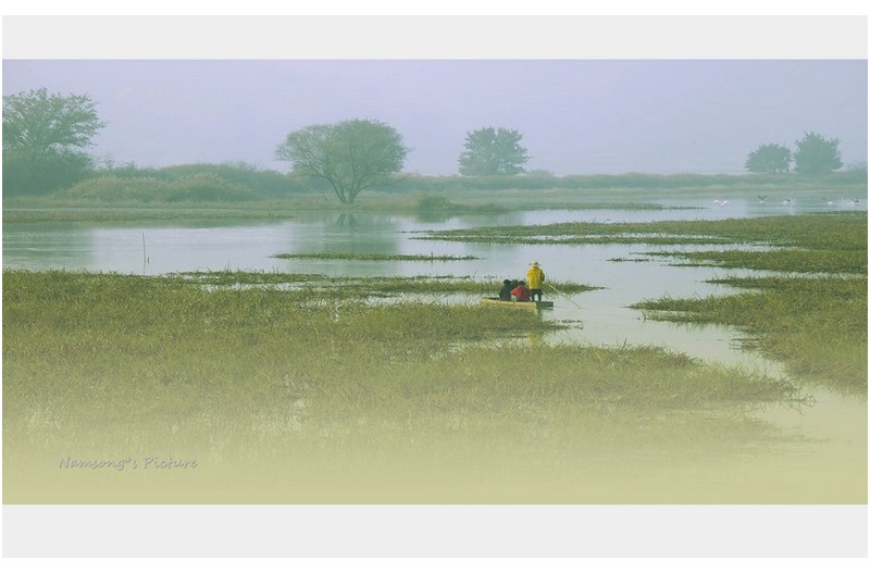 초하의 우포 -----