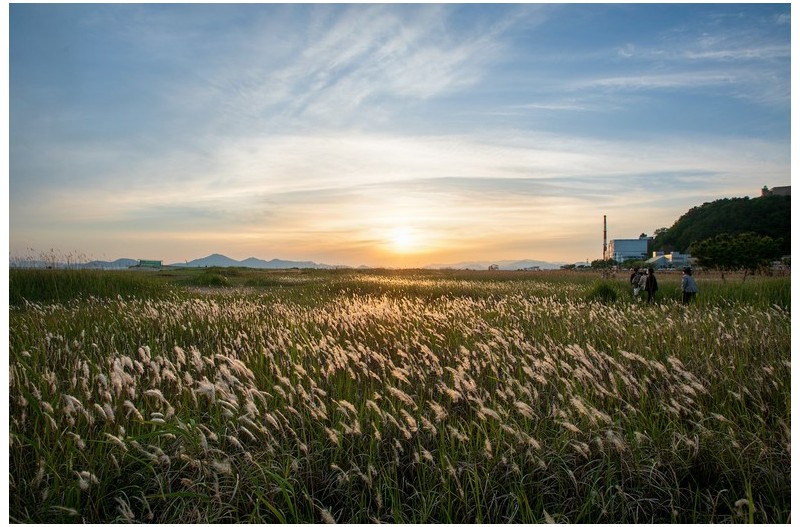 노을 물드는 다대포