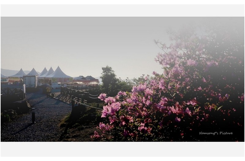 황매산의 추억 --