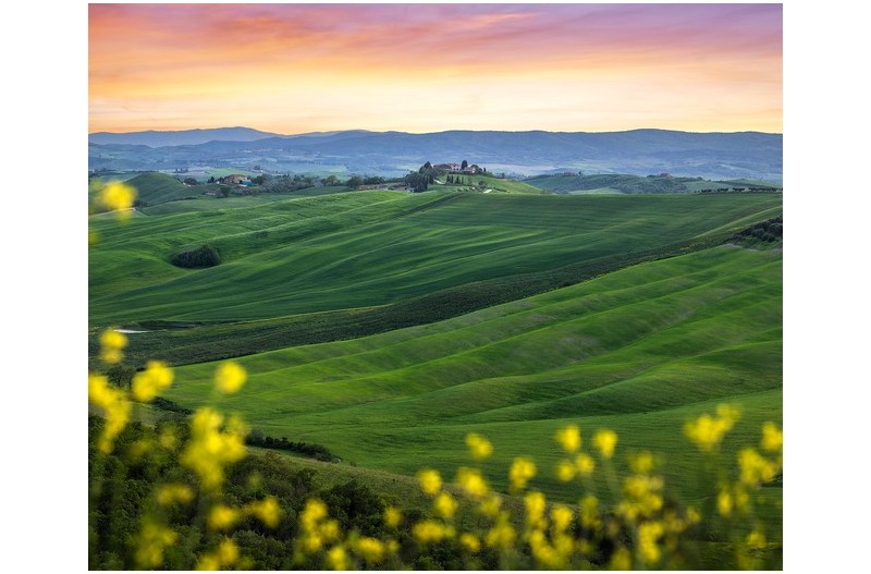 드 넒은 평원에....