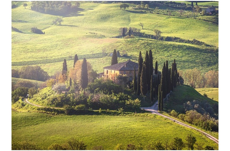 저 푸른 초원위에