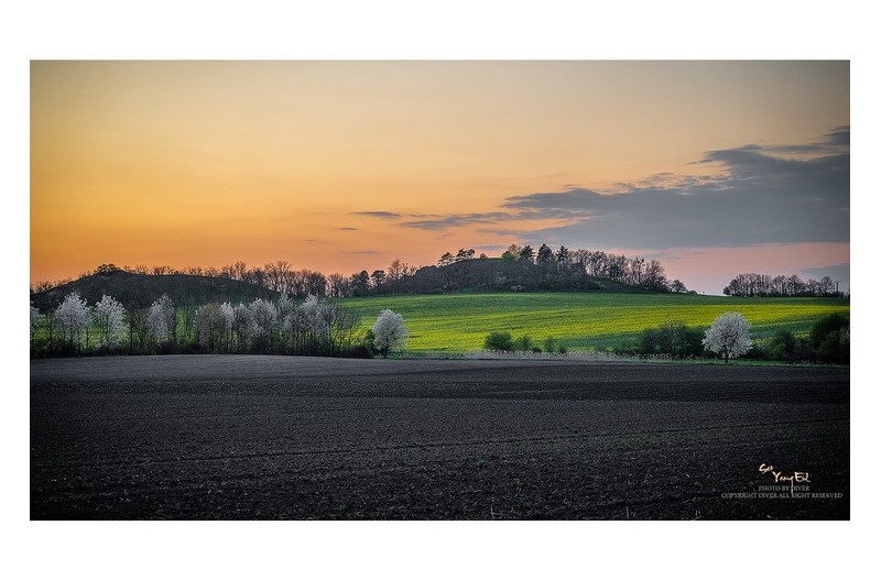 저 푸른 초원에