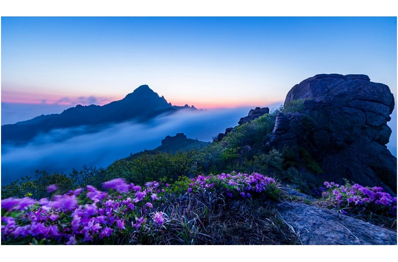 일출전 사라진 운해...