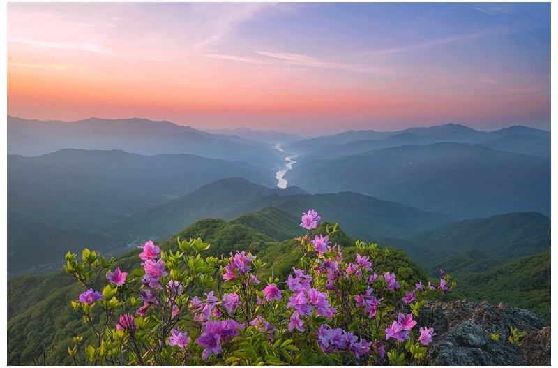 섬진강이 보이는 풍경