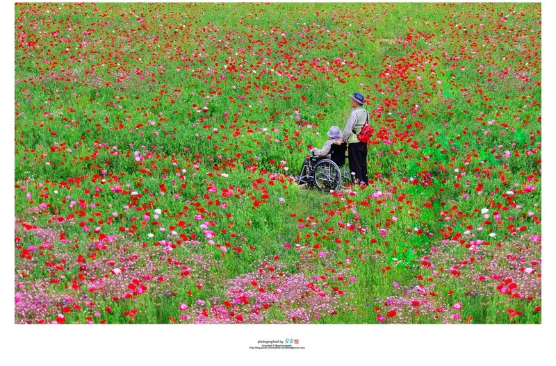 내마음의 무지개...