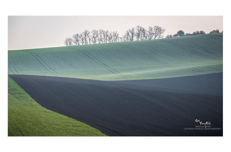 초원의 노래가 들리는...