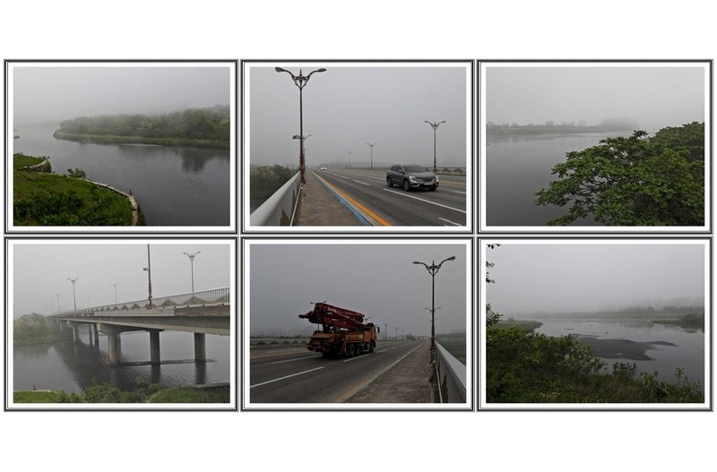 안개속 남대천 하구 와 흙 장미