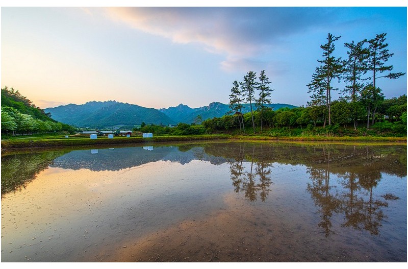 월출산이 보이는 풍경