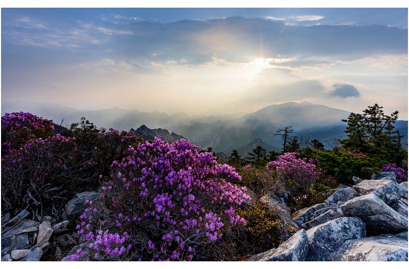 설악 귀떼기청...