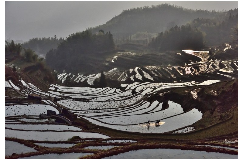 다락논의  아침