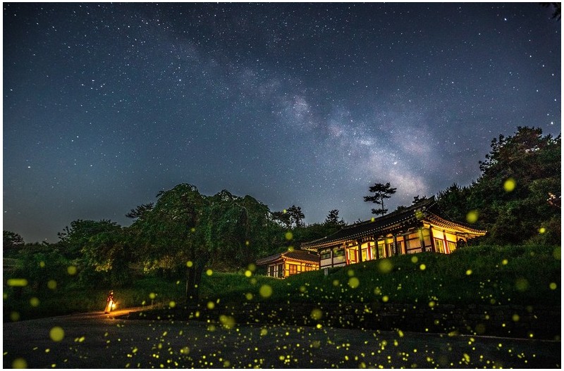 반디불이와 은하수