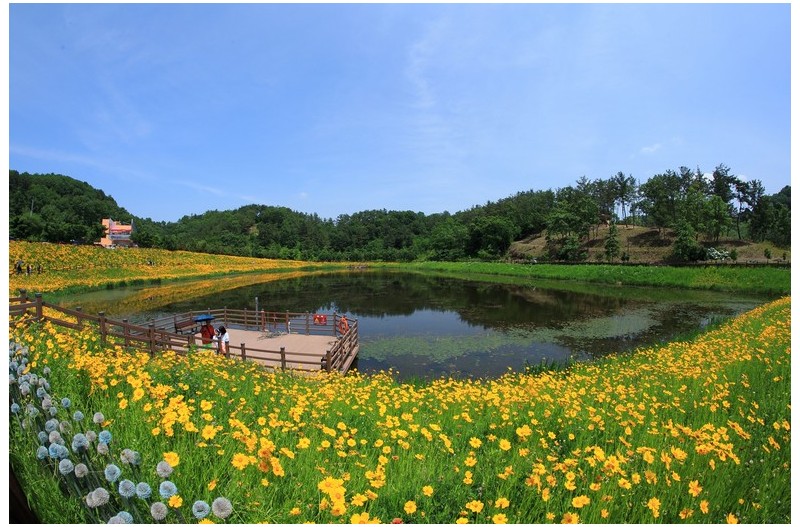 악양 생태 공원
